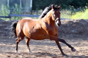 149586_321887687910693_505006057_n