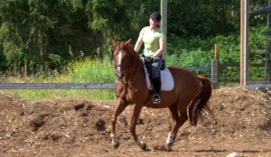 35265_1486798086405_678768_n