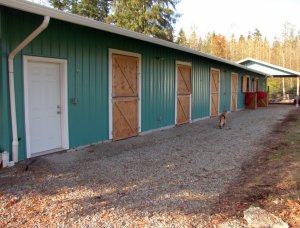 389857_143687889064008_1905189074_n