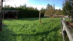 390599_143687969064000_691001231_n